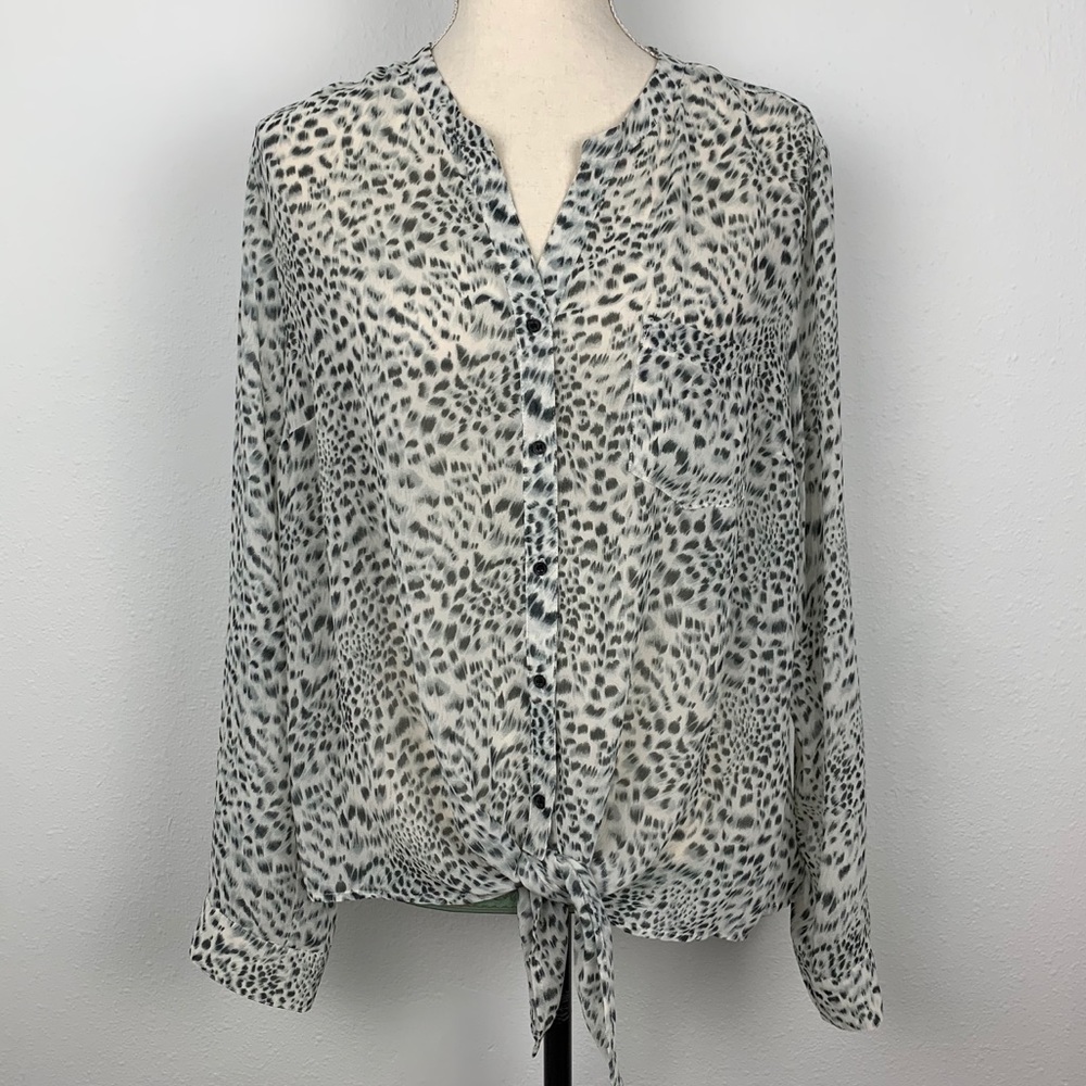 Vioblue button down sheer blouse